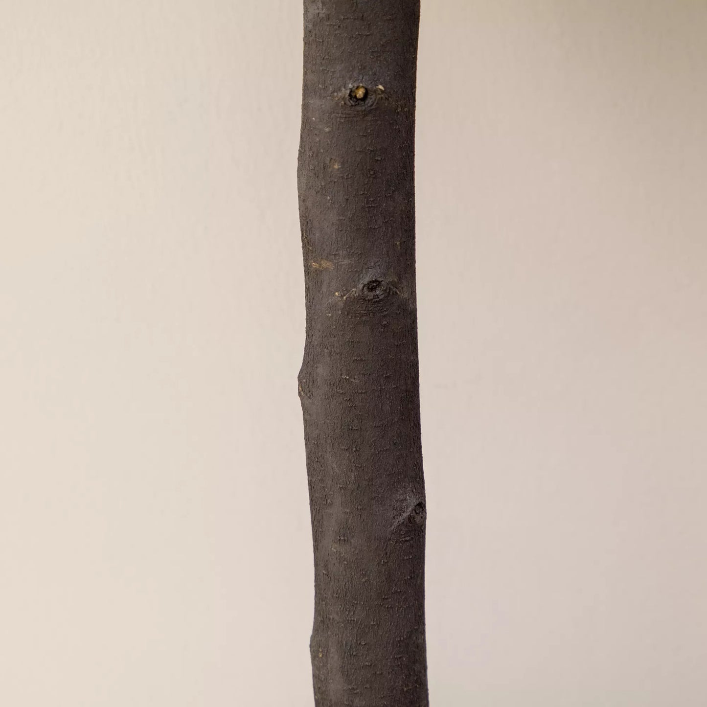 2 vnt. rinkinys Dirbtinio buksmedžio, 2 buksmedžiai, Lauko, 20 cm x 20 cm x 60 cm, Žalia + ruda + juoda