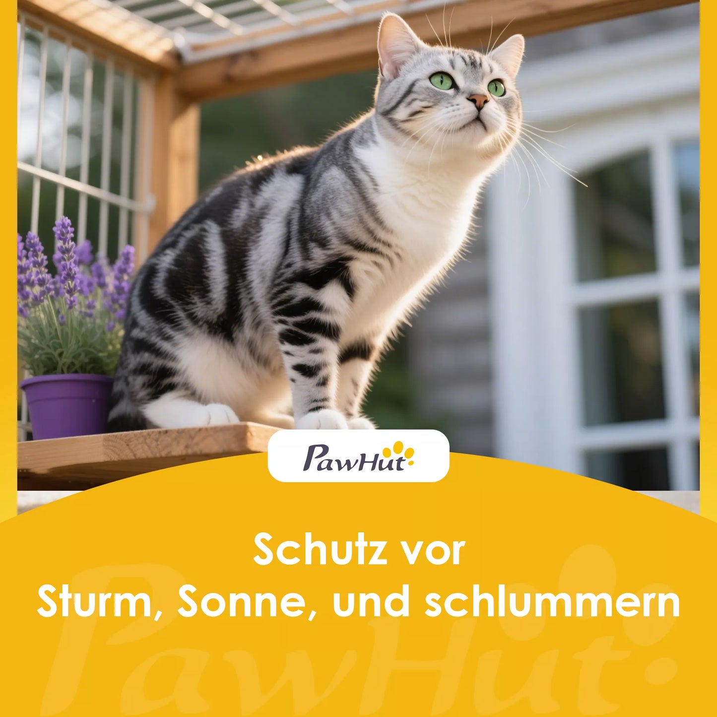 Lauko katės namelis, prieglobstis lauke, atsparus vandeniui, atidaromas stogas, eglės mediena, 80 x 93 x 95, pilkos spalvos