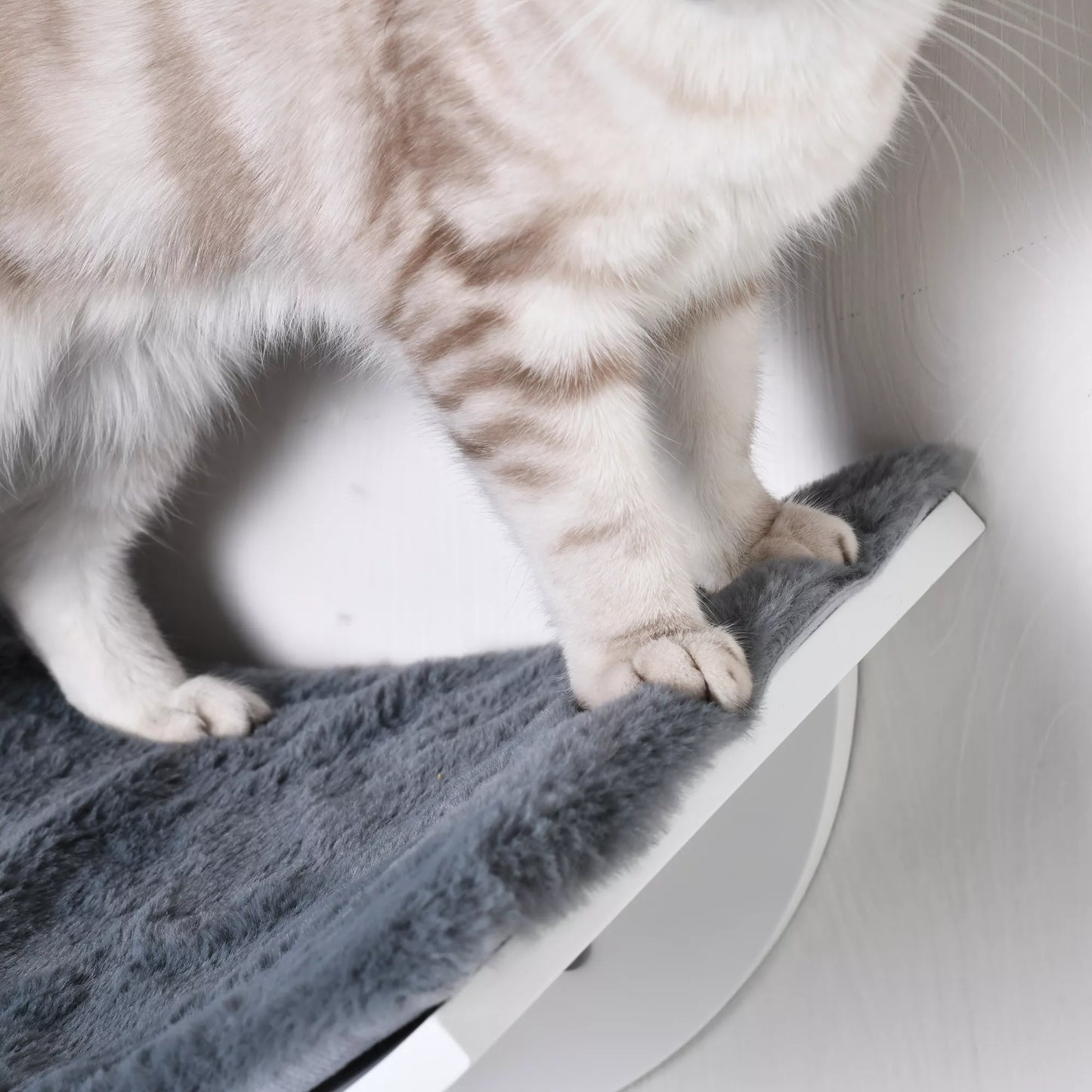 Katės lova ant sienos, katės lentyna su pliušiniu paminkštinimu, pilka, 41 x 28 x 21 cm