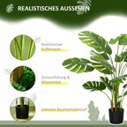Monsteros informacinė grafika apie realistišką išvaizdą