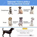 Lovos informacinė grafika apie tinkamumą mažiems ir vidutiniams šunims