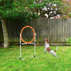 Šuo šoka pro oranžnį šunų agility lanką kieme