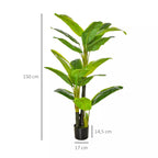 Dirbtinio banano augalo schema su matmenimis 150, 17 ir 14,5 cm