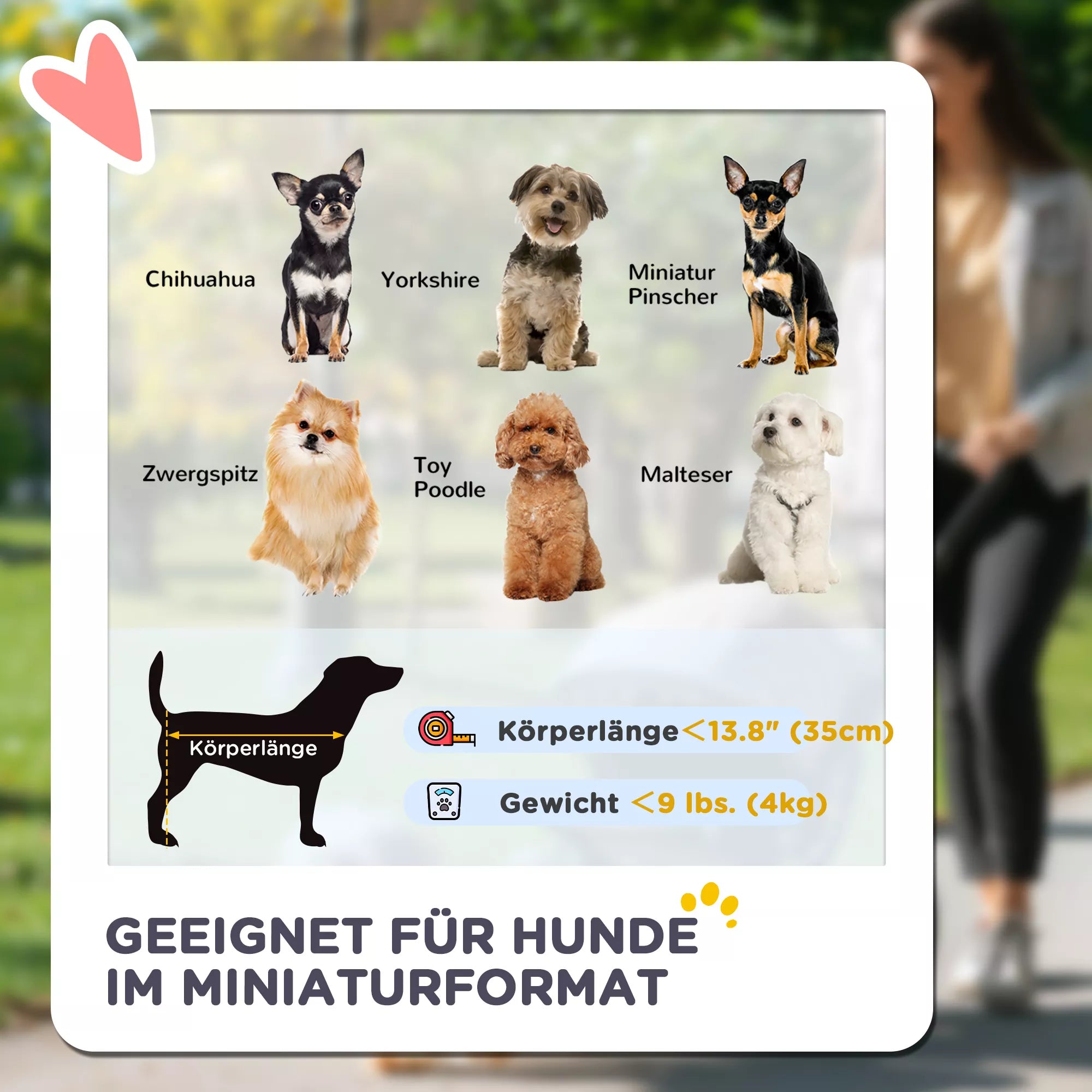 3-in-1 naminių gyvūnėlių vežimėlis, sulankstomas keturratis vežimėlis su nuimamu nešikliu šunims ir katėms, pilkos spalvos