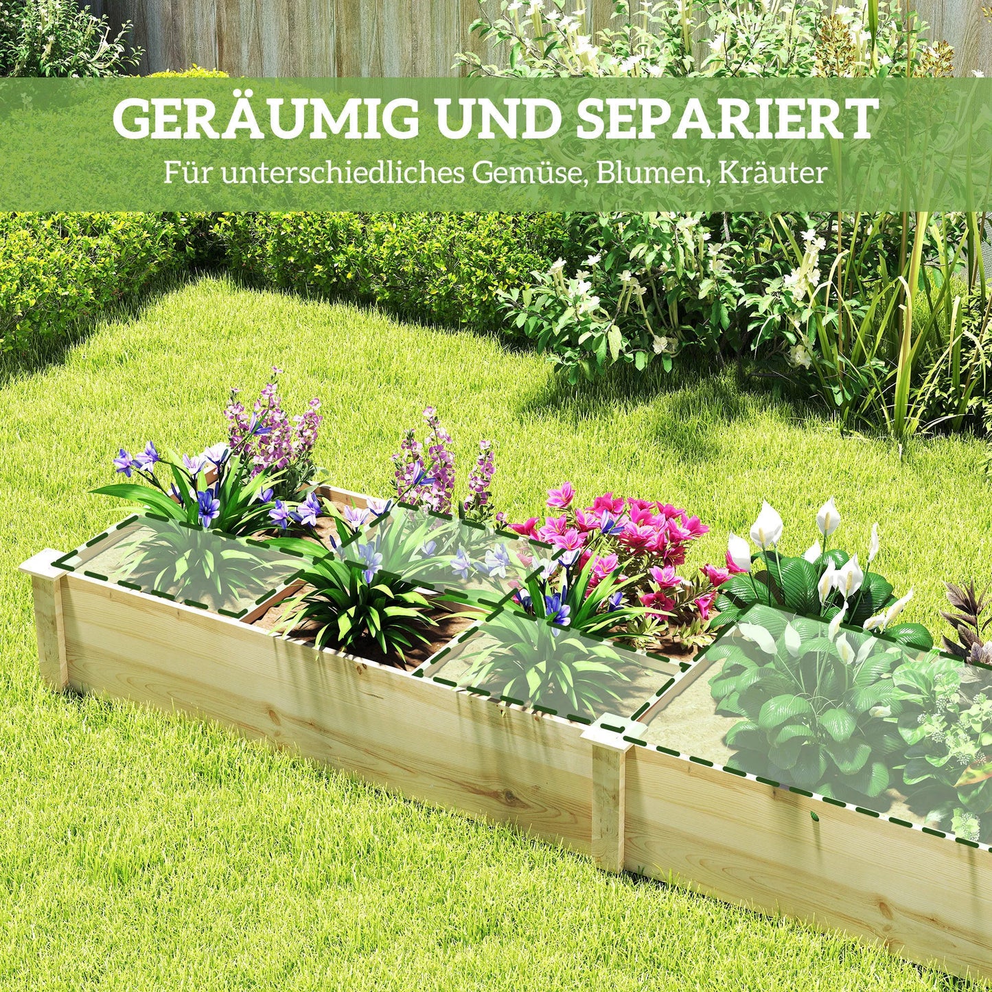 Paaukštinta lysvė, sodinimo dėžė, 2 dalių, atviras dugnas, natūralaus medžio rėmas, paprastas surinkimas, 237 x 60 x 25cm