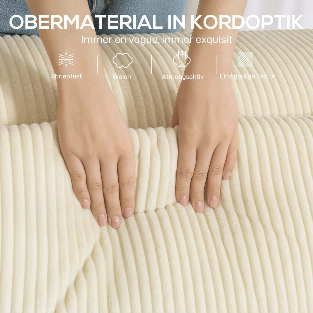 3 vietų sofa, minkšta putų struktūra, platūs porankiai, 2 pagalvėlės, velveto apmušalas, smėlio spalvos
