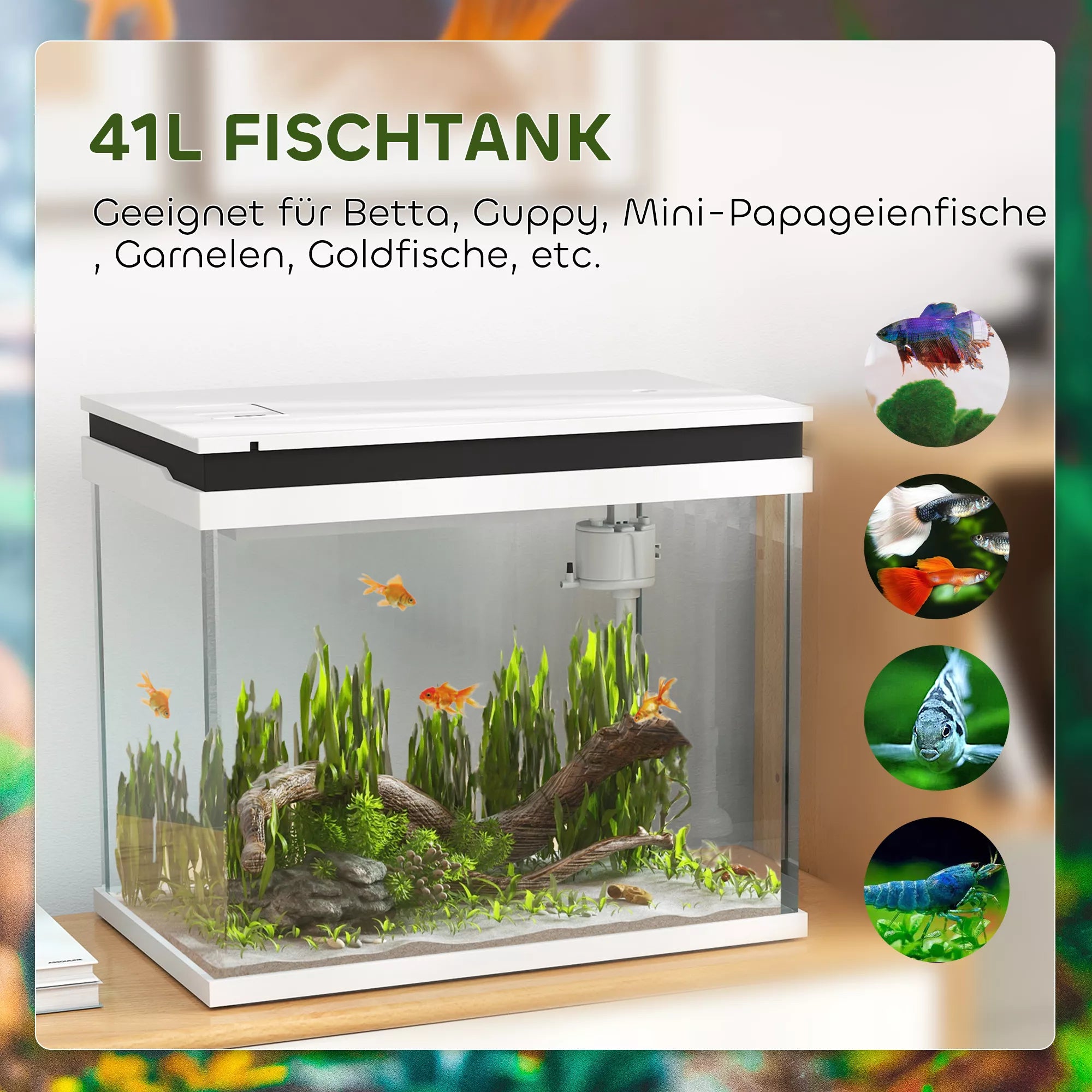 Akvariumas su filtrų sistema ir LED apšvietimu, 41 l, baltas