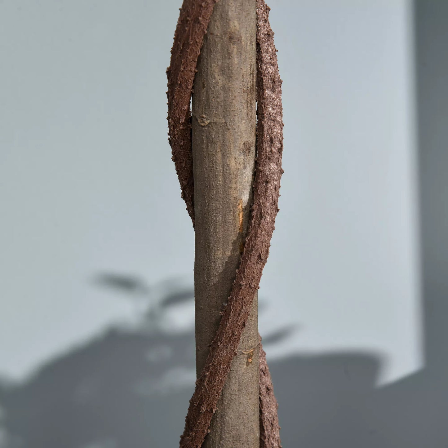 Rinkinys iš 2 dirbtinių lauramedžių, 120 cm, dirbtiniai augalai cemento vazone, plastikiniai augalai vidaus ir lauko sąlygoms, žali