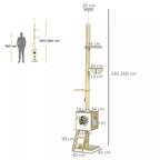 Lubinės katės draskyklės schema su matmenimis 240–260 ir 40 cm