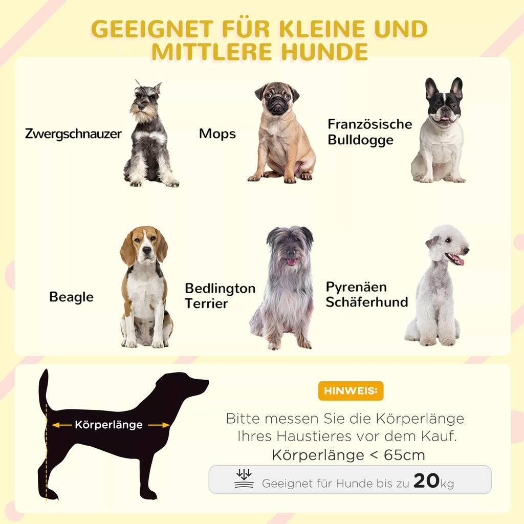 Infografika: tinkamų šunų veislų sąrašas su kūno ilgio matmenimis iki 65 cm