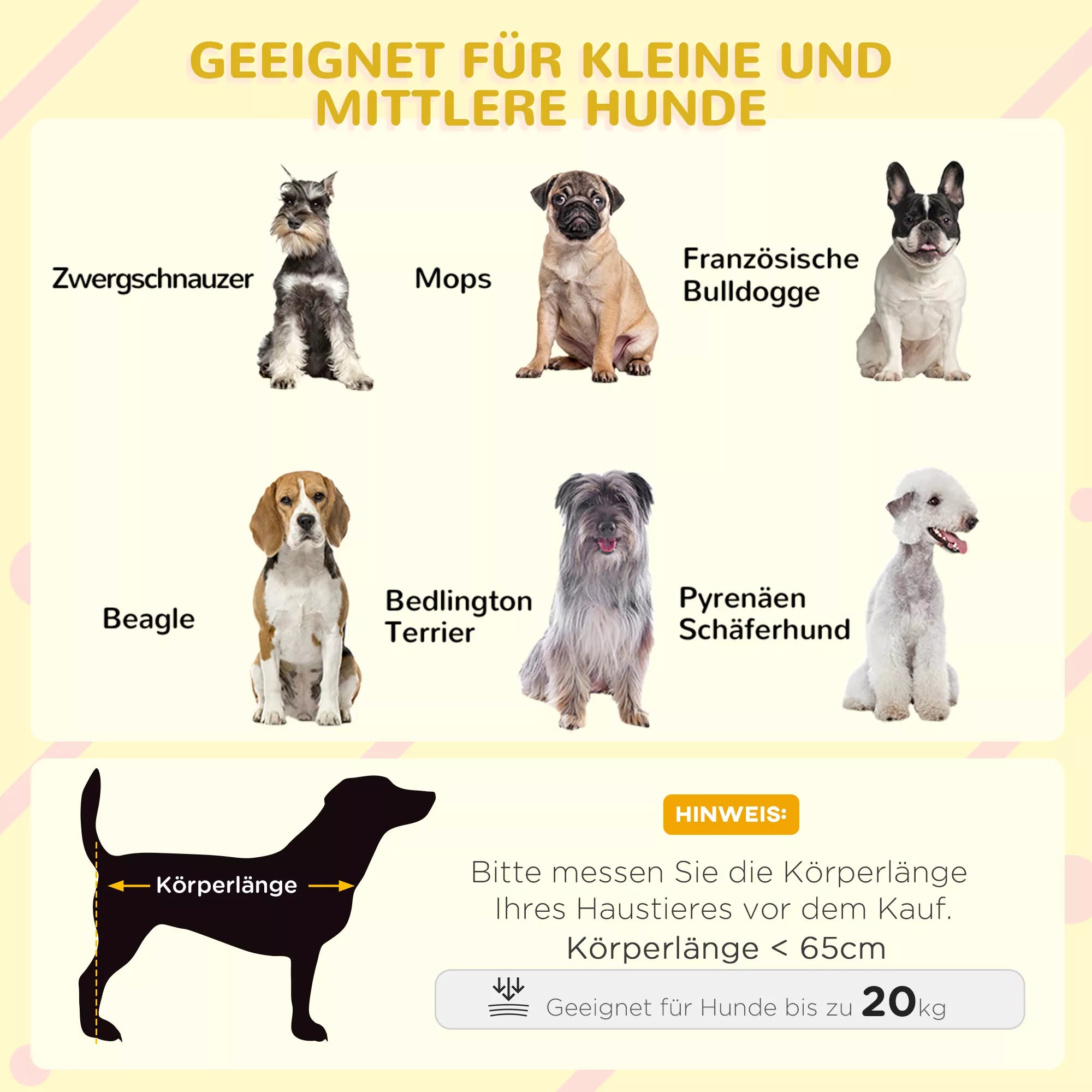 Infografika: tinkamų šunų veislų sąrašas su kūno ilgio matmenimis iki 65 cm