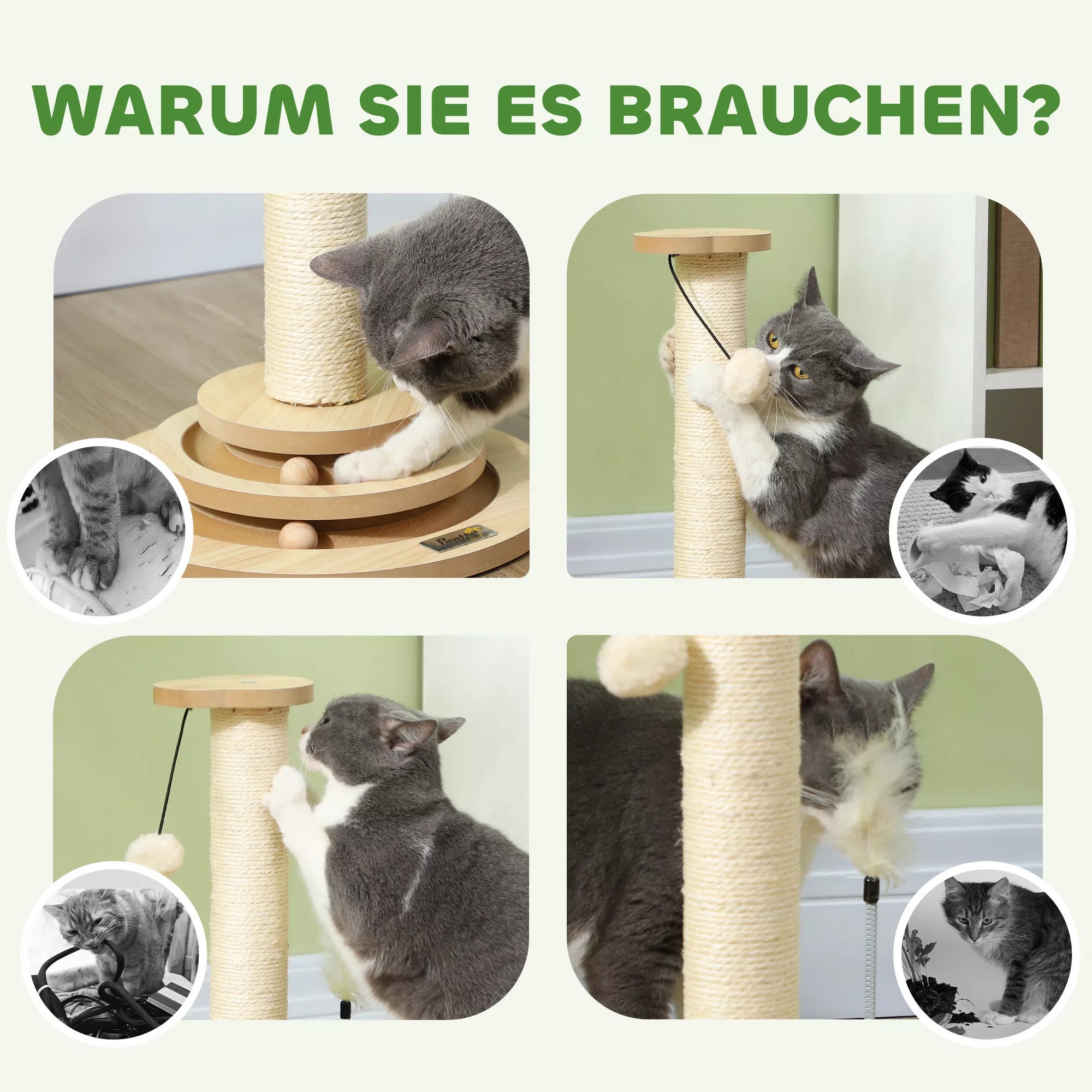 PawHut Kačių draskyklė, 49 cm, sizaliniai draskymo stulpeliai, kamuoliukų trasa, žaidimų kamuoliukas, žaidimo plunksnelė, 4-in-1 dizainas, ąžuolas, balta