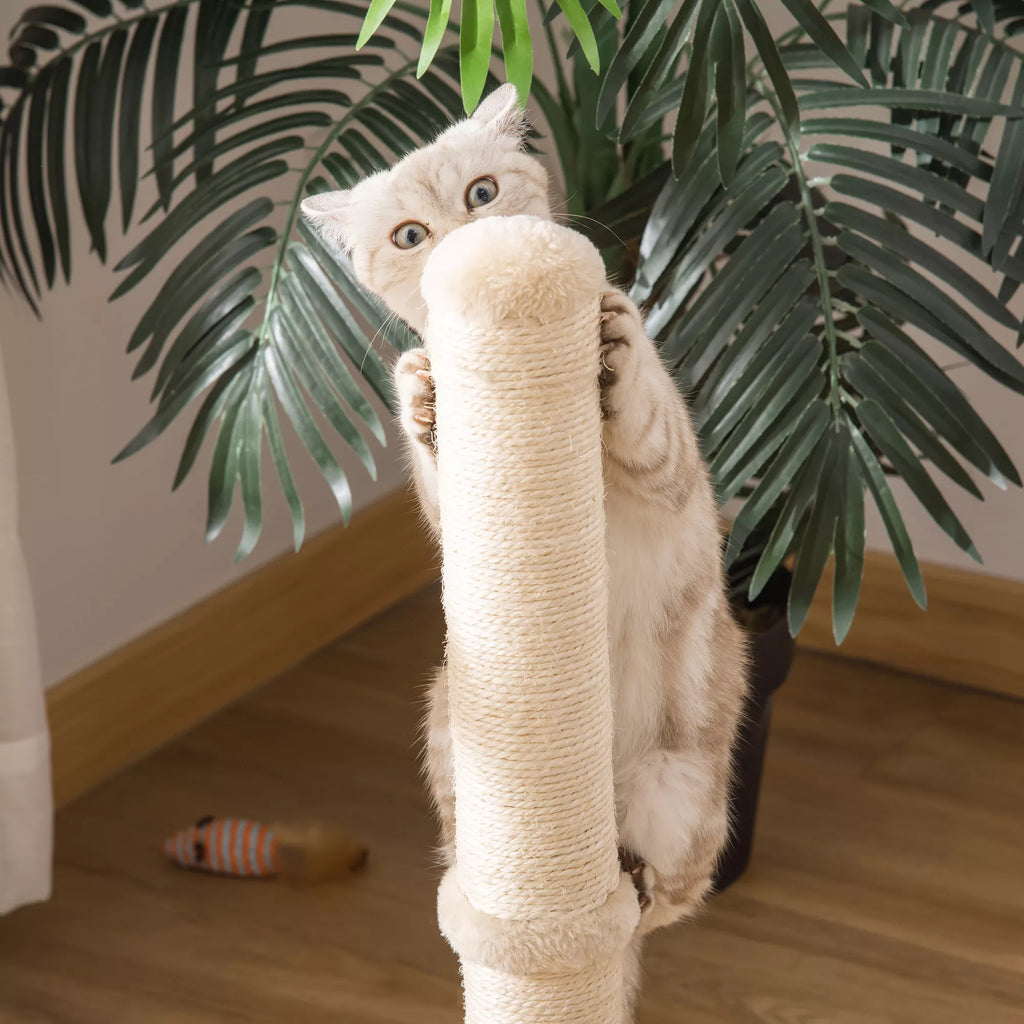 Katės draskyklė stulpas su žaislu, 60 cm, smėlio/ąžuolo spalvos