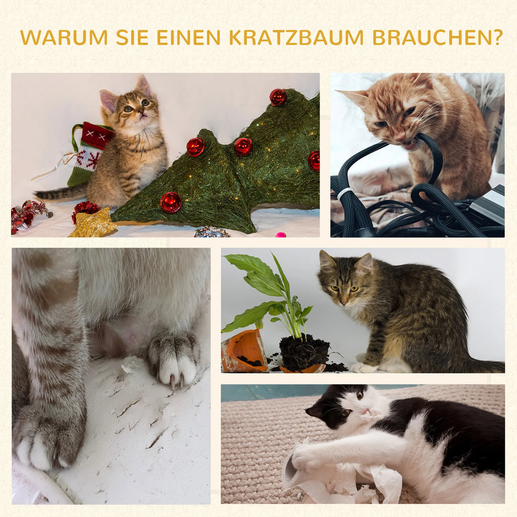 Schema su katėmis, naudojančiomis katės bokštą
