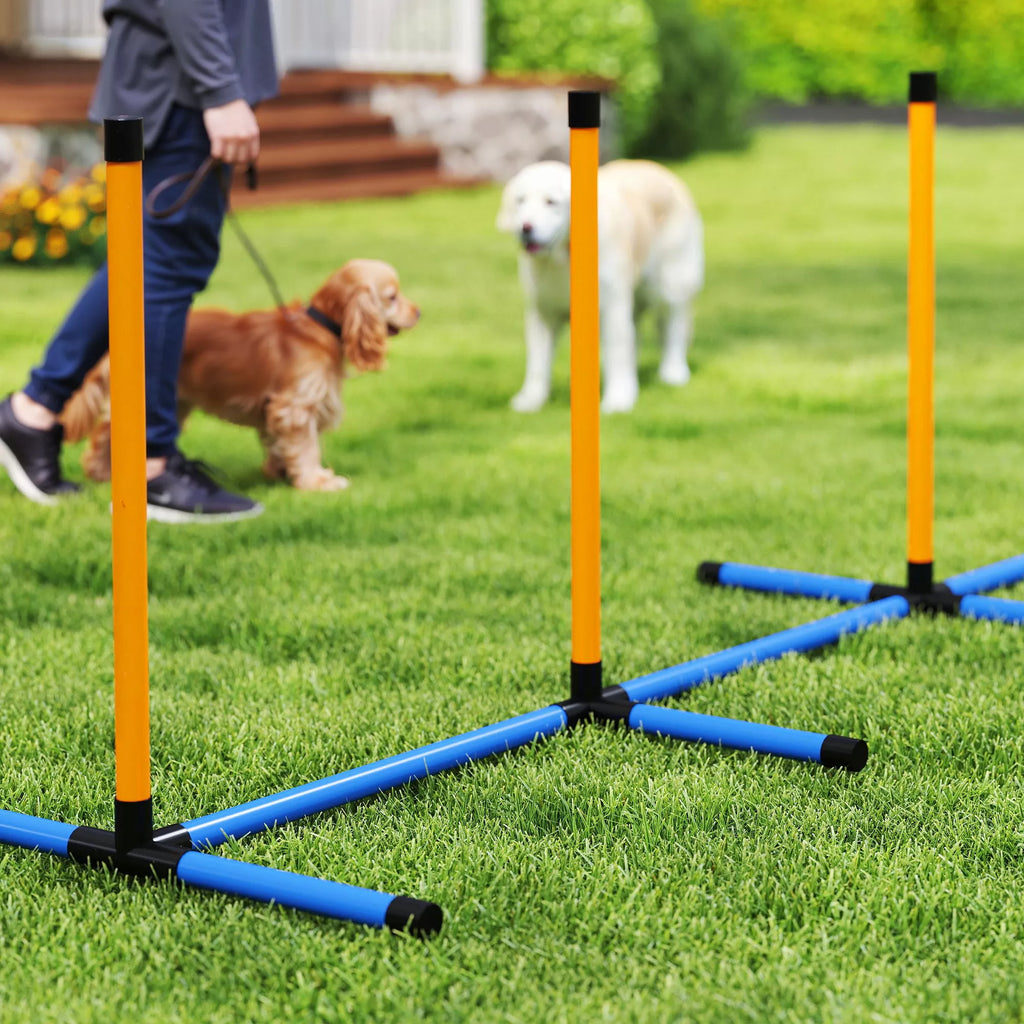 Šunų dresūros rinkinys Agility 7 dalių, mėlynas/oranžinis