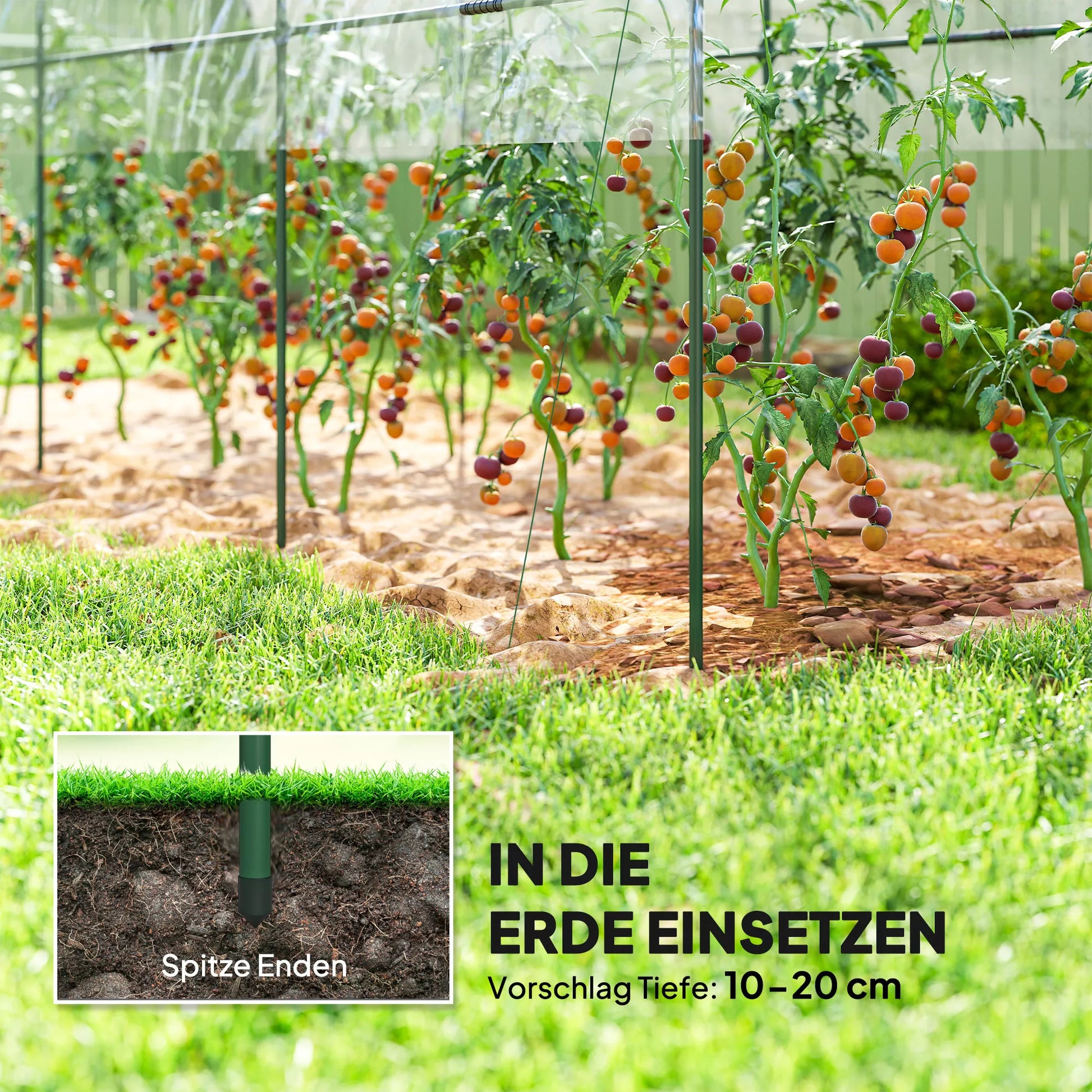 Šiltnamis, atsparus žiemai Plėvelinis šiltnamis su arkiniu stogu, žemės tvirtinimais Šiltnamis 400 x 120 x 170 cm Skaidrus