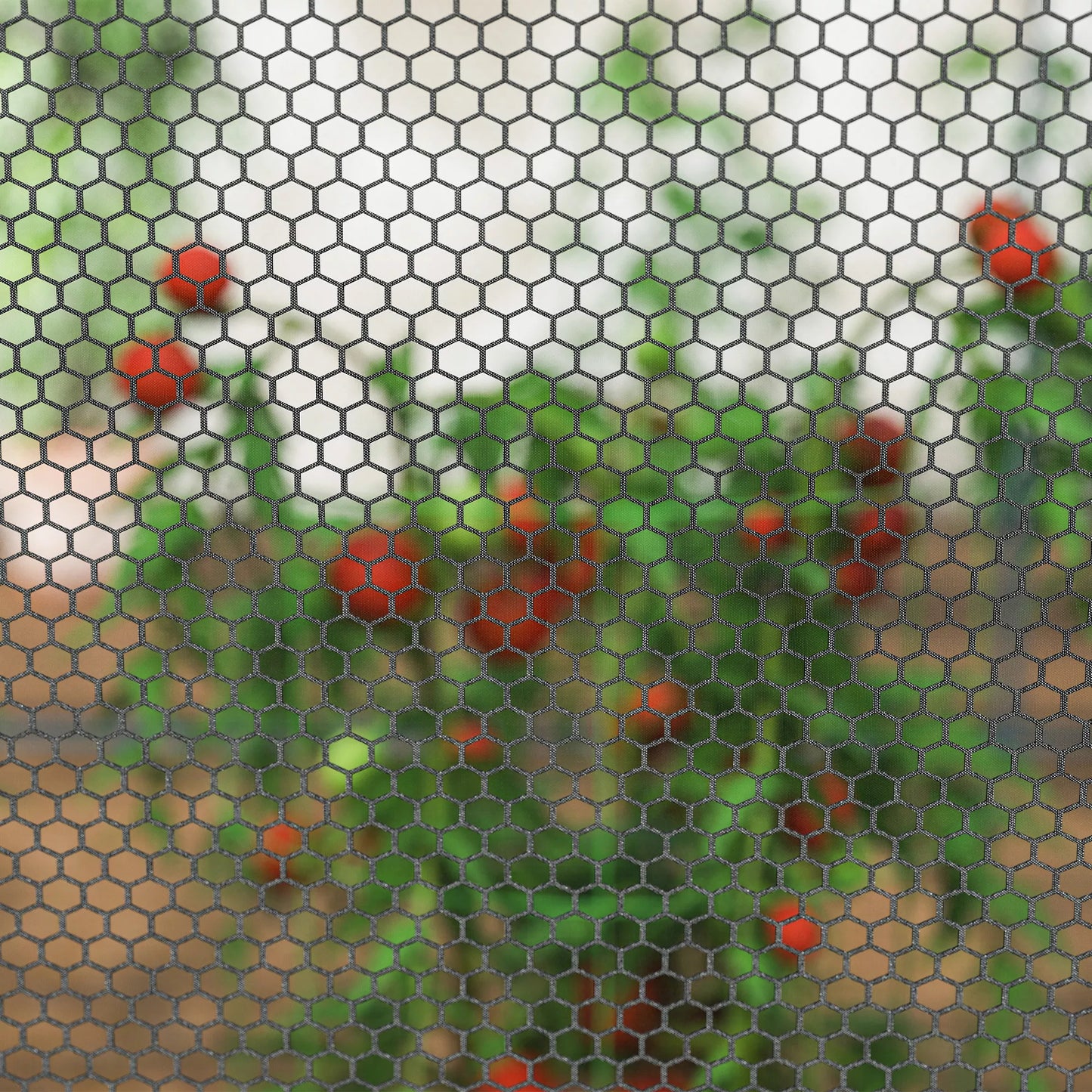 2,49 x 1,2 m sodo tinklas, augalų apsaugos palapinė su durimis, vėjo nepraleidžiantis kenkėjų apsaugos tinklas su plieniniu rėmu, juodos spalvos