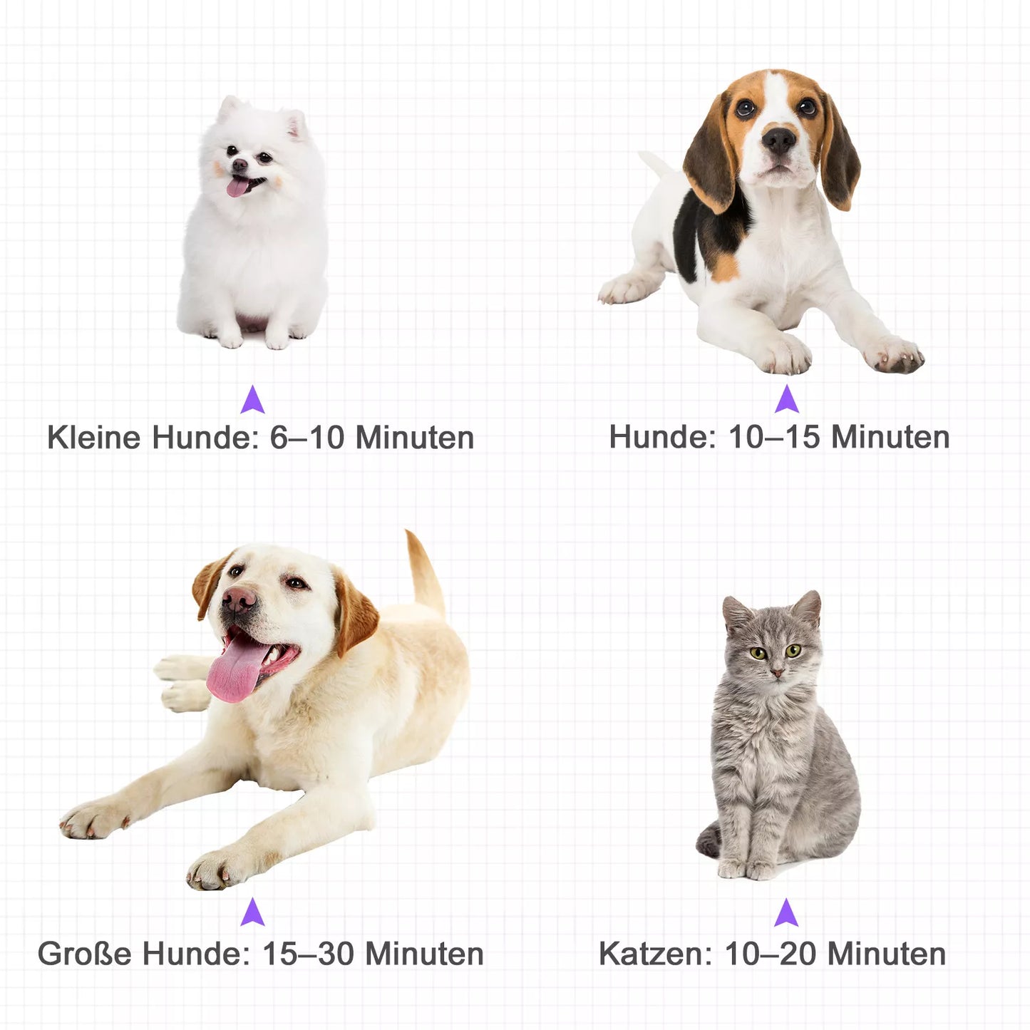 Šunų džiovintuvas Blower 2800W Šunų džiovintuvas su reguliuojamu greičiu, temperatūros lygiais, 3 antgaliais, šildymu, gyvūnų plaukų džiovintuvas Pet Dryer šunims, katėms ir kitiems naminiams gyvūnams