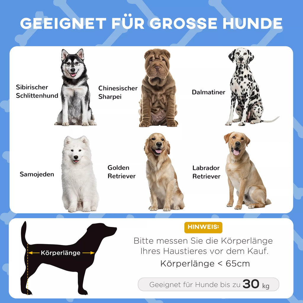 Lovos informacinė grafika apie tinkamumą dideliems šunims