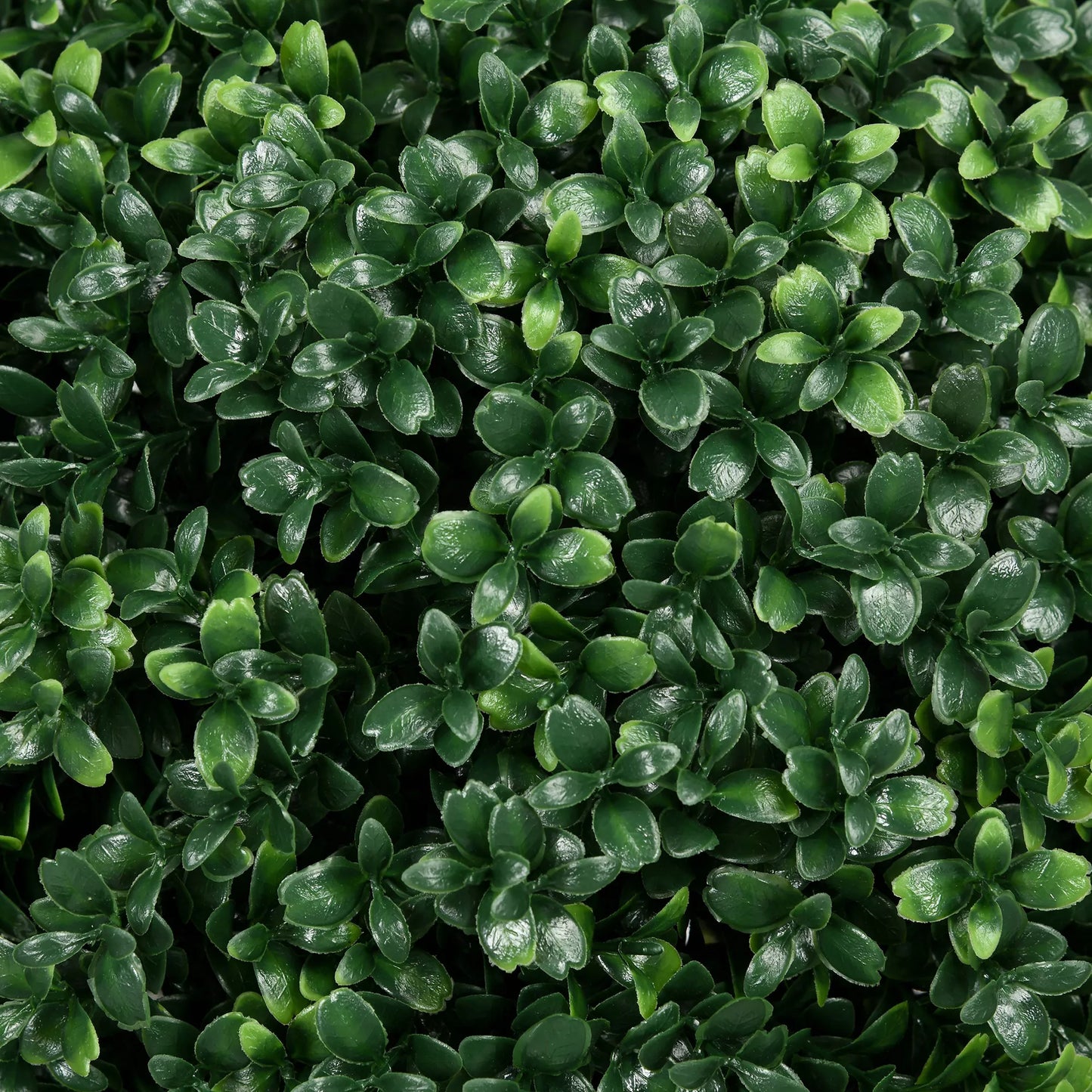 Dirbtinis buksmedis 2 vnt. rinkinyje, realistiškas, atsparus oro sąlygoms, lengvai prižiūrimas, 70 cm