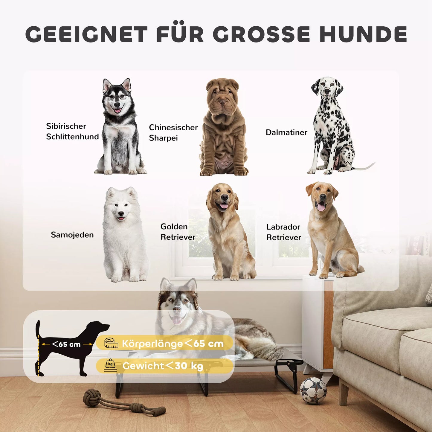 Nešiojama paaukštinta šunų lova, pakeltas naminių gyvūnėlių gultas su kvėpuojančiu tinkleliu, dideliems šunims, šviesiai pilka