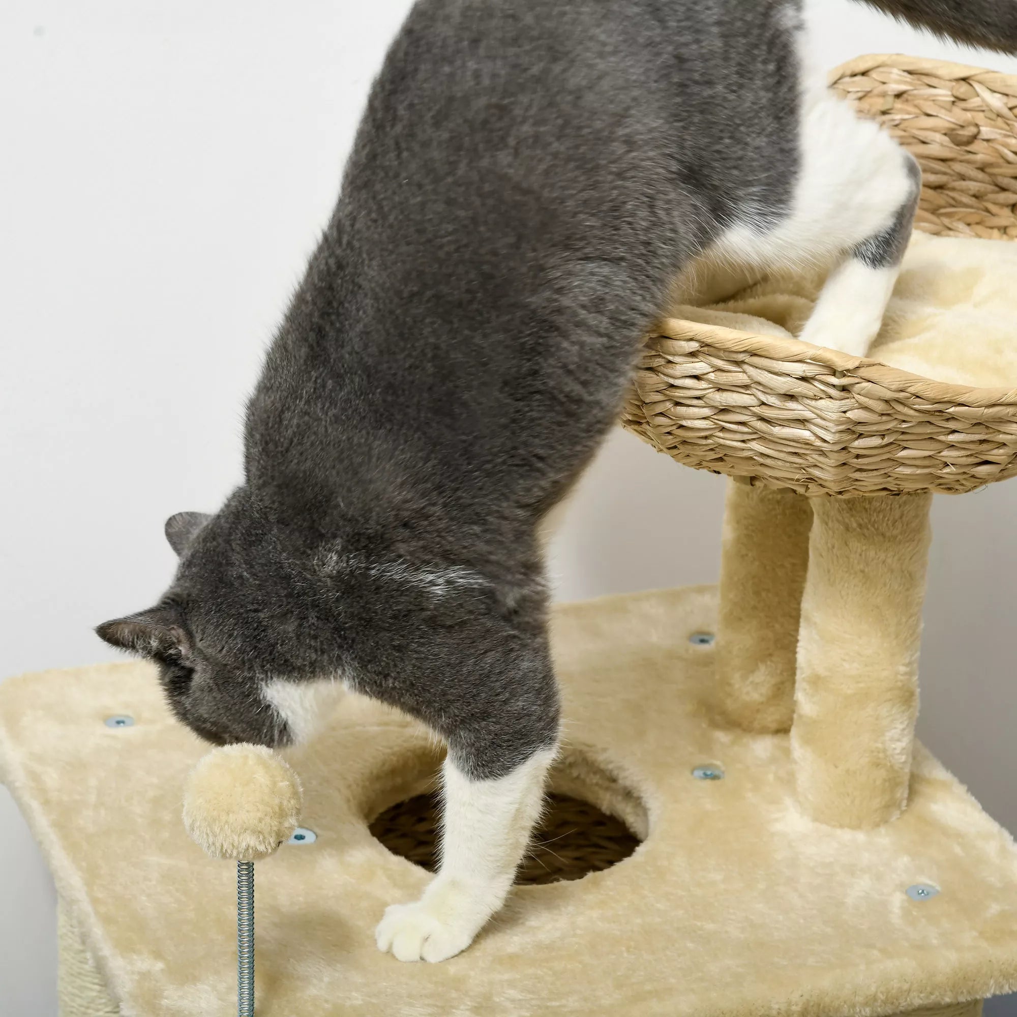 Katės draskyklė su nameliu ir gultu, 74 cm, smėlio spalvos