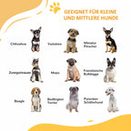 Vartelių informacinė grafika apie tinkamumą mažiems ir vidutiniams šunims