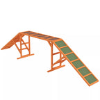 Oranžinis medinis agility takelis šunims
