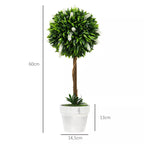 Dirbtinio augalo matmenų schema: 60 cm aukščio
