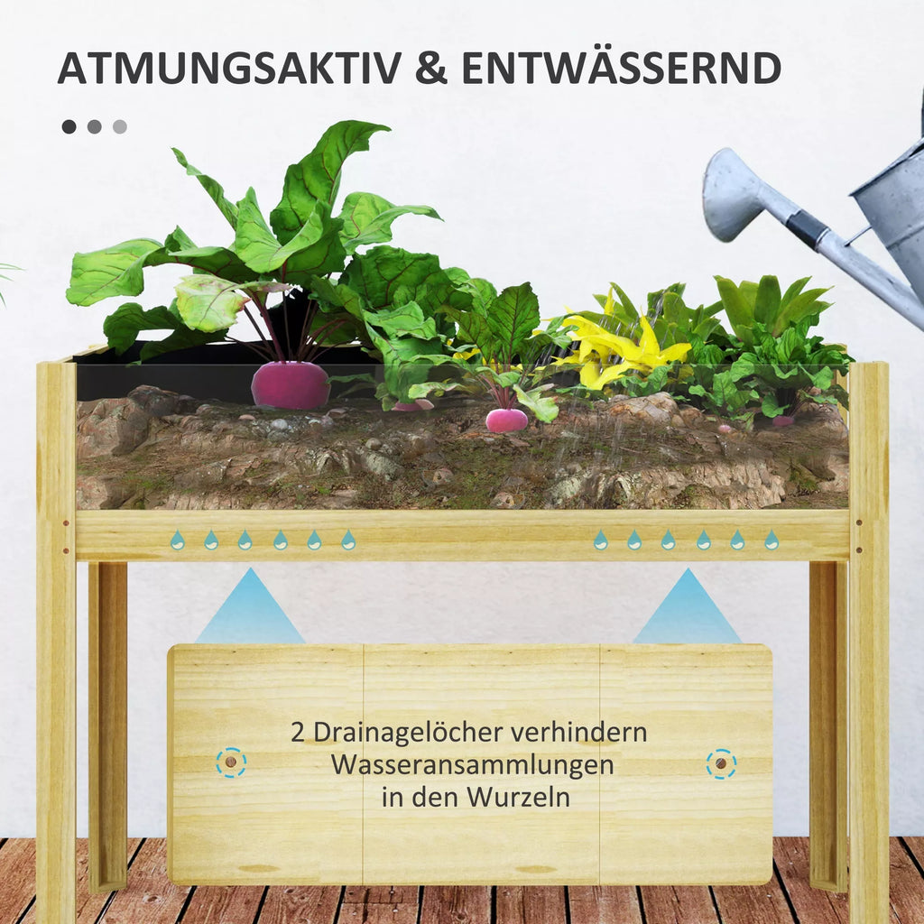 Aukšta pakelta medinė lysvė su akrilo sienelėmis 110x50x80 cm natūrali
