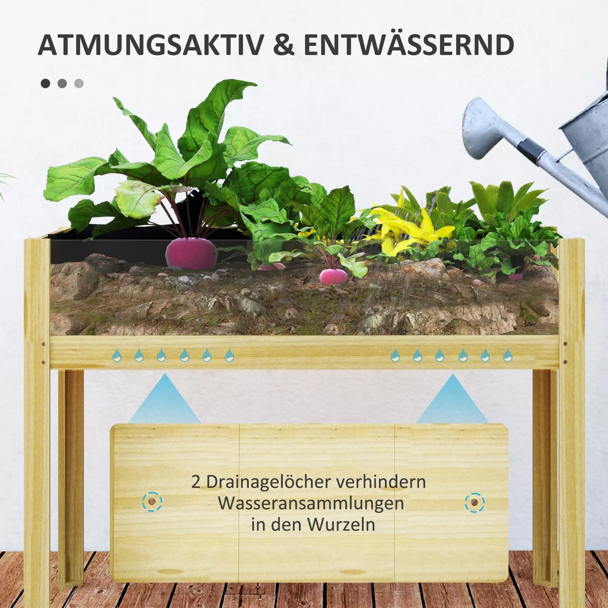 Aukšta pakelta medinė lysvė su akrilo sienelėmis 110x50x80 cm natūrali
