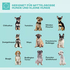 Infografika su šunų veislių piktogramomis: mažoms ir vidutinėms