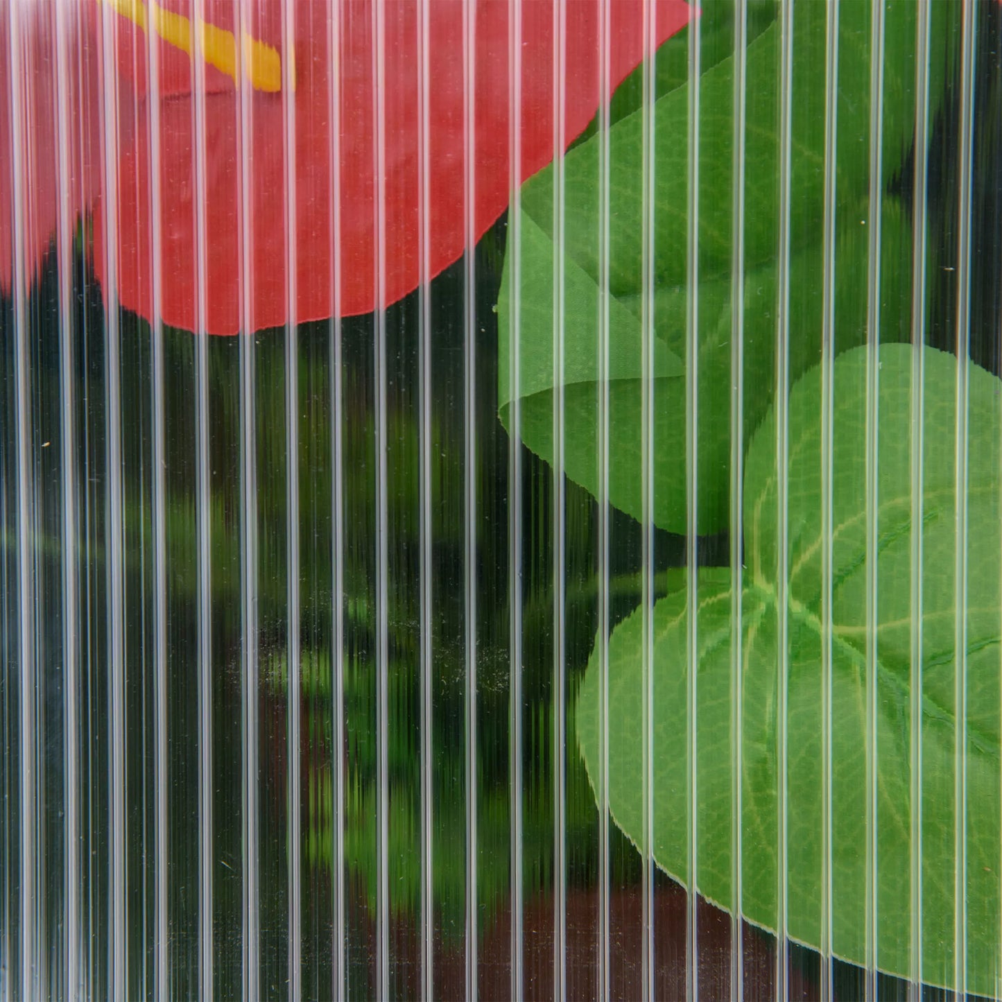 Mini šiltnamis, kompaktiškas medinis namelis augalams, polikarbonato plokštės, vėdinimo anga, 90I x 52P x 49,5A cm, pilkas