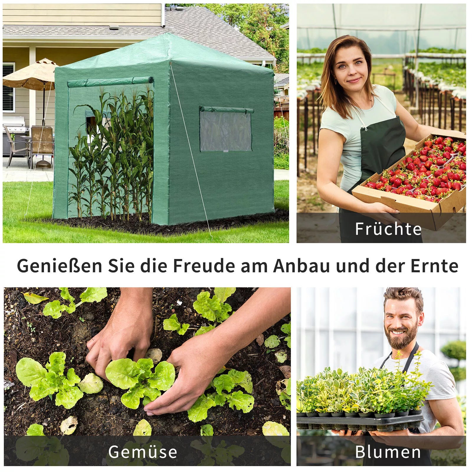 Šiltnamis Šiltnamis Pomidorų namelis Ankstyvųjų daržovių lysvė su durimis ir langais, kuriuos galima susukti PE plienas Tamsiai žalia 238 x 178 x 240 cm