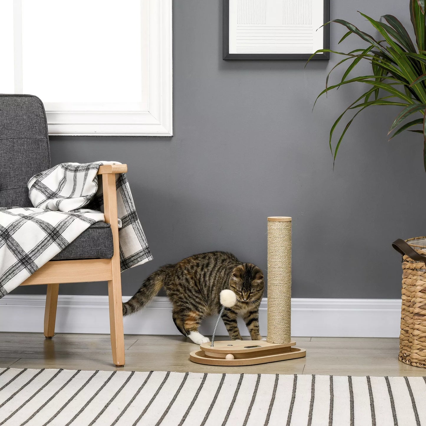 Katės draskyklė kačiukams su žaislu, kamuoliukų takeliu, kamuoliuku su spyruokle, 35 cm x 23 cm x 40 cm, natūrali