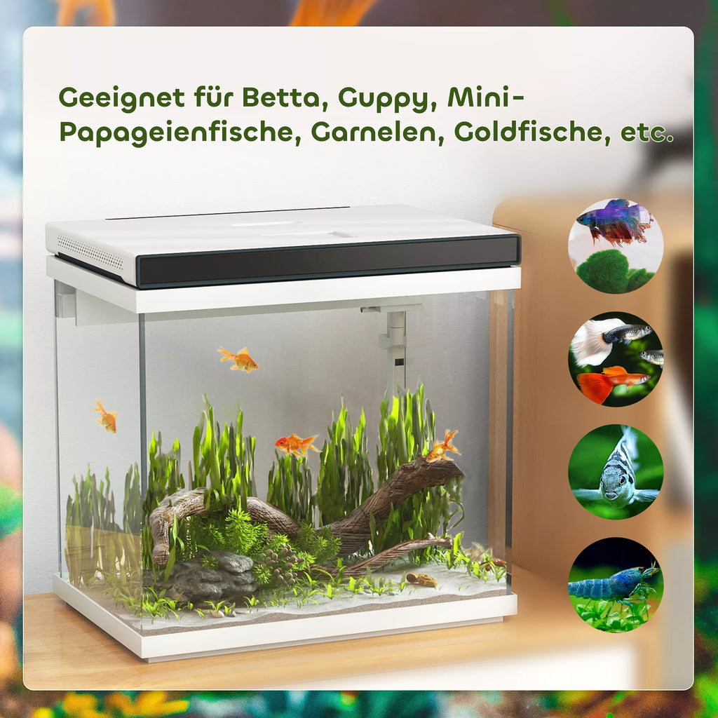 26 litrų akvariumas su filtru, LED apšvietimu, vandens siurbliu, skirtas įvairių rūšių žuvims, maždaug 38 x 26 x 38 cm