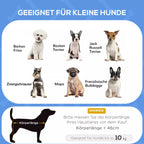 Lovelės informacinė grafika apie tinkamumą mažiems šunims