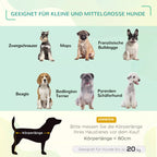 Infografika su tinkamų šunų veislių sąrašu: Mopsas, Prancūzų buldogas, Bedlingtonas ir kt.