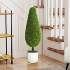 Dirbtinis kiparisas prie laiptų