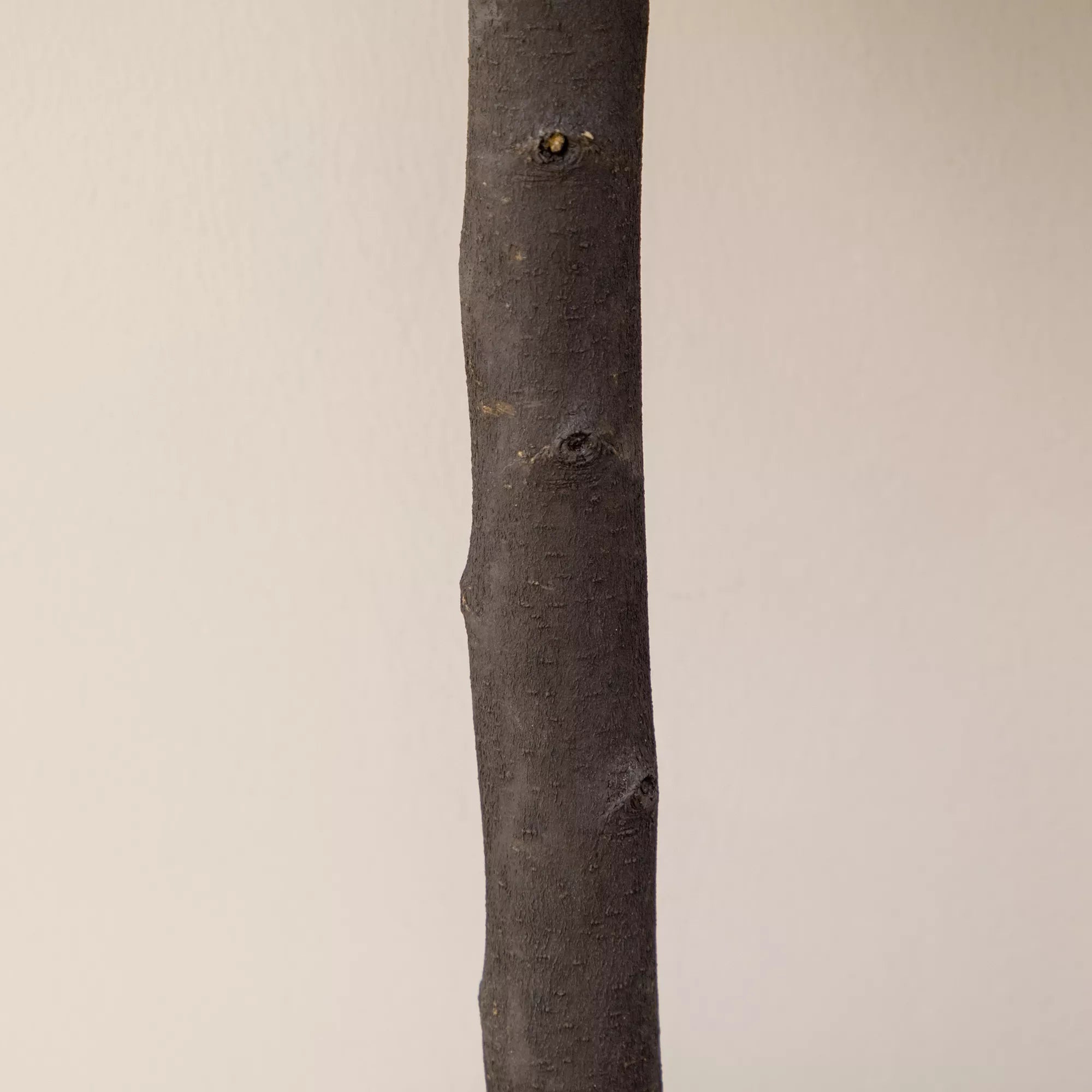 2 vnt. rinkinys Dirbtinio buksmedžio, 2 buksmedžiai, Lauko, 20 cm x 20 cm x 60 cm, Žalia + ruda + juoda