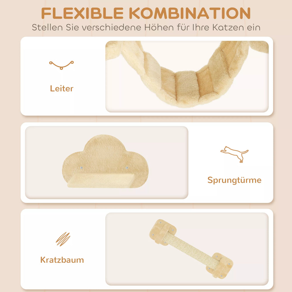 Informacinė grafika apie lankstų kačių rinkinio išdėstymą