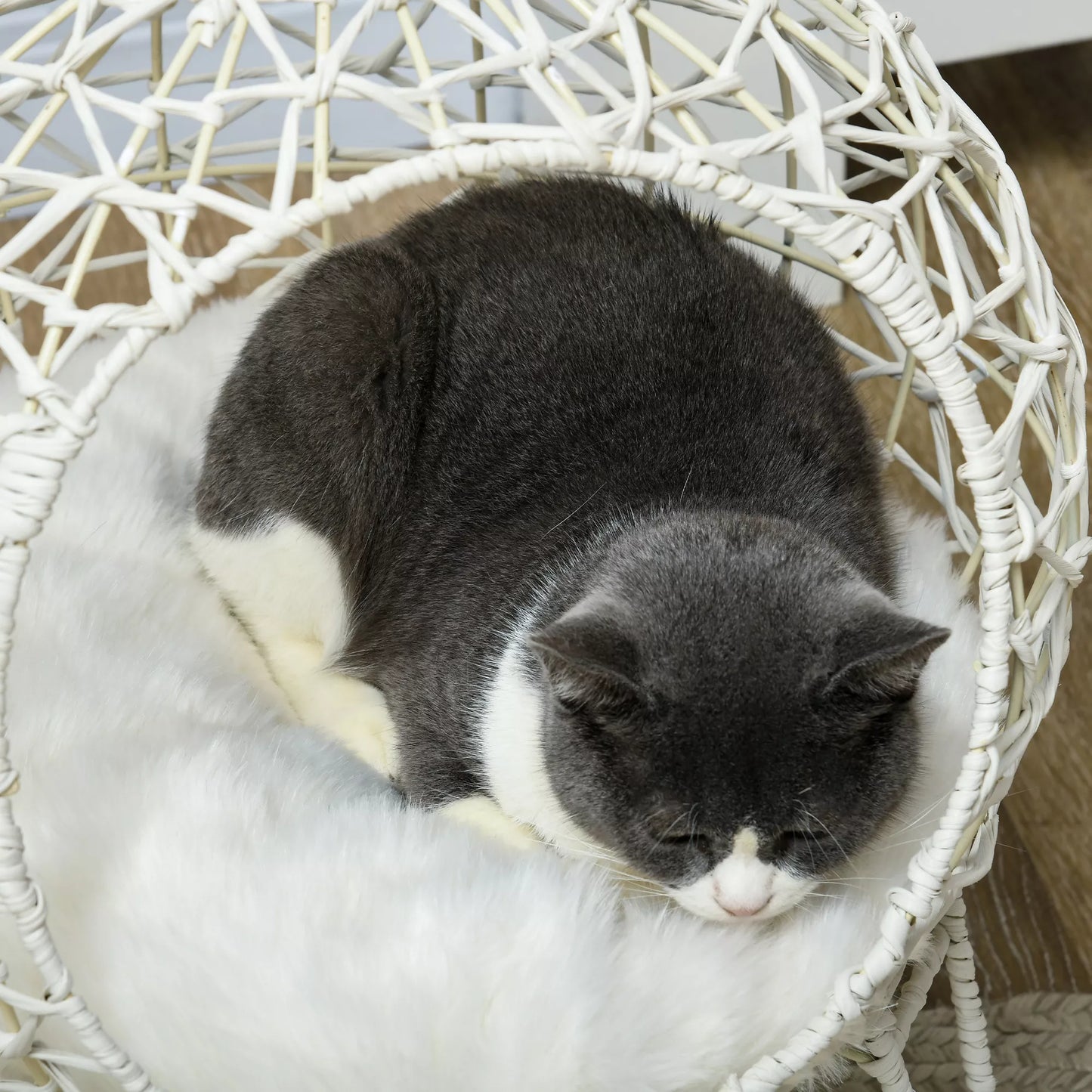 Rotango katės krepšys Katės urvas Katės namelis Katės lovelė su pagalvėle Pakelta konstrukcija Naminių gyvūnų lovelė Kreminė balta Ø45 x 57H cm