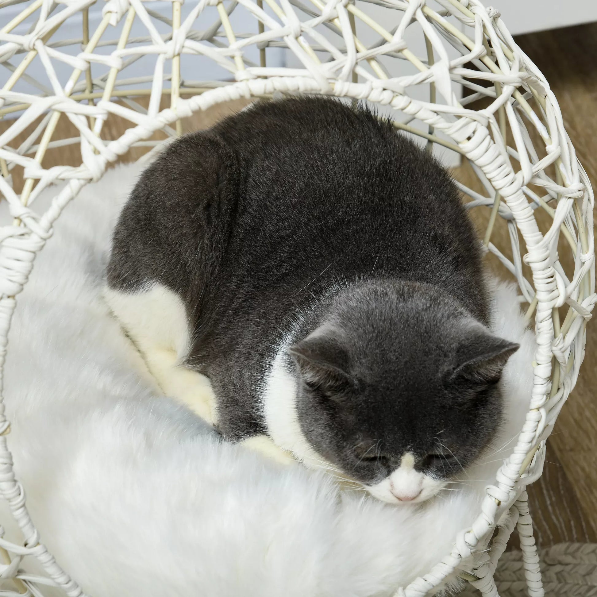 Rotango katės krepšys Katės urvas Katės namelis Katės lovelė su pagalvėle Pakelta konstrukcija Naminių gyvūnų lovelė Kreminė balta Ø45 x 57H cm