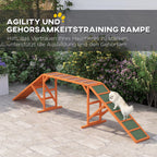 Agility takelis su šunimi terasoje