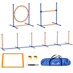 Šunų agility rinkinys Šunų aikštelė, 1 padanga, 1 barjeras, 1 Slalomo rinkinys, 352 cm x 66 cm x 69 cm, mėlyna + raudona