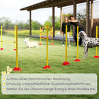 3 dalių šunų agility rinkinys, užpildomas. Agility įranga šunų dresūrai, šuolių kliūčių ir slalominių stulpų rinkinys.