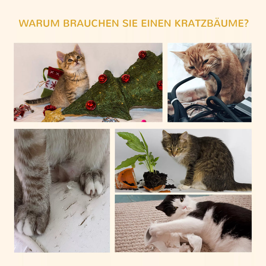 Kratzbaum iki lubų aukščio 240-260 cm Katės medis su pliušiniais kamuoliais, katės urvu, hamaku, sizalio kamienais, platformomis Daugiaaukštis katės medis Laipiojimo medis didelėms katėms, tamsiai pilkos spalvos