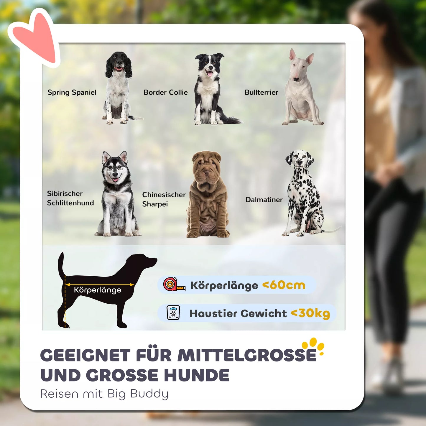 Šunų vežimėlis, sulankstomas, atidaromas, su miegojimo pagalvėle, plieninis rėmas, Raudona/Juoda