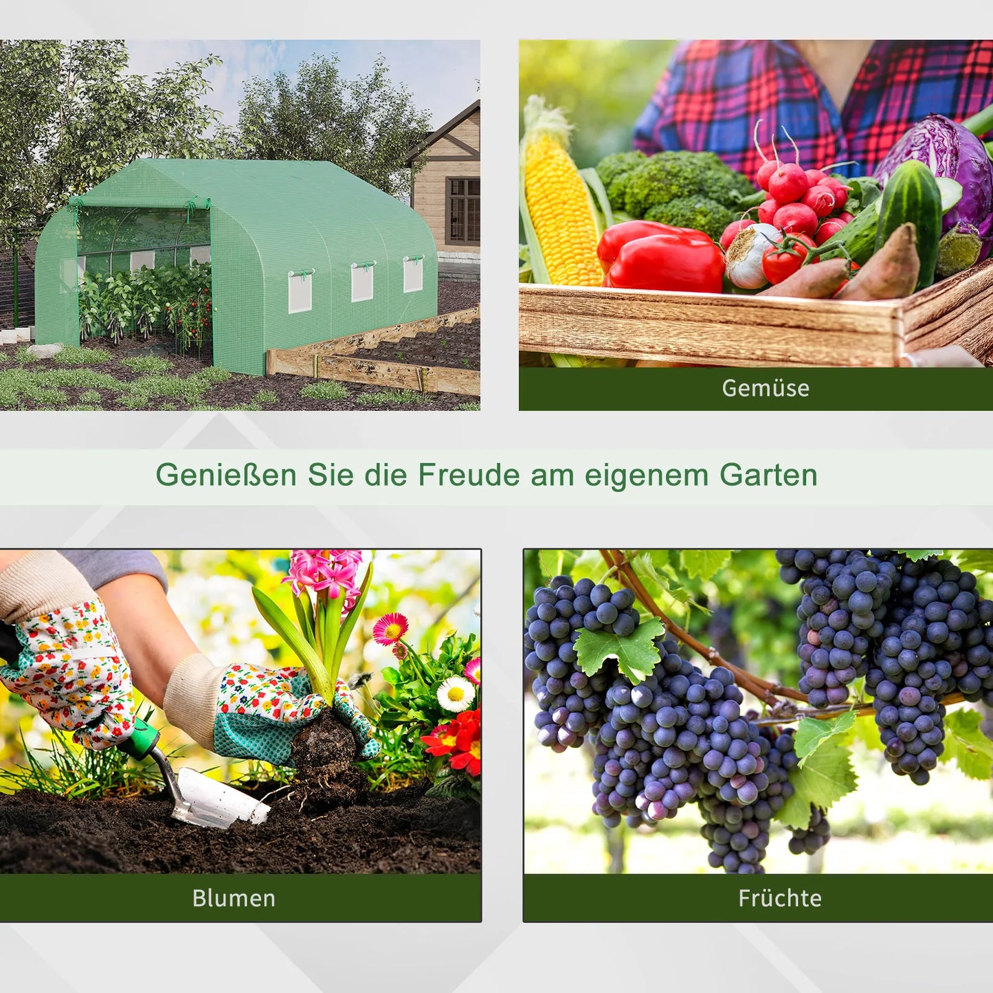 Plėvelės šiltnamis Plėvelės šiltnamis Šiltnamis Ankstyvųjų daržovių šiltnamis Augalų namelis Pomidorų namelis Dvišlaitis stogas  350L × 300B × 200H cm