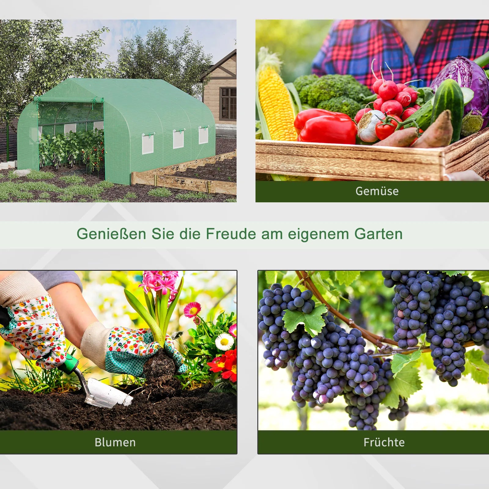 Plėvelės šiltnamis Plėvelės šiltnamis Šiltnamis Ankstyvųjų daržovių šiltnamis Augalų namelis Pomidorų namelis Dvišlaitis stogas  350L × 300B × 200H cm